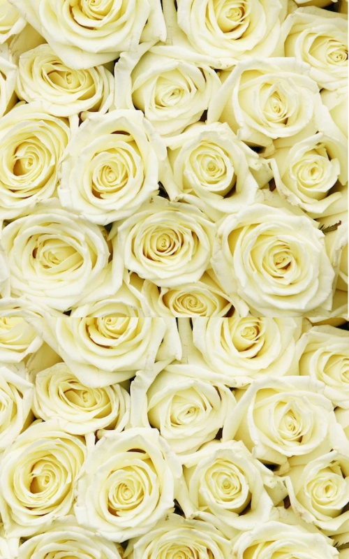 Mixed Florals Subscription