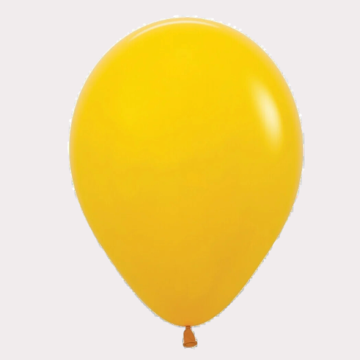 12" Latex Balloons (Set of 12)